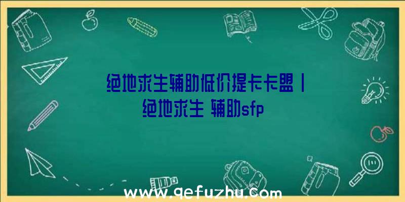 「绝地求生辅助低价提卡卡盟」|绝地求生